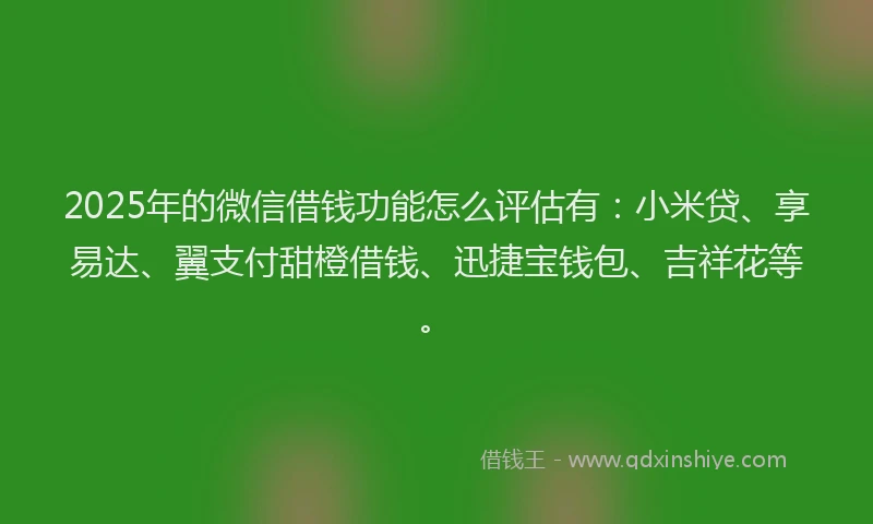 2025年的微信借钱功能怎么评估有：小米贷、享易达、翼支付甜橙借钱、迅捷宝钱包、吉祥花等。