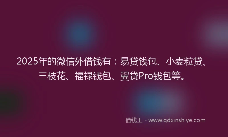2025年的微信外借钱有：易贷钱包、小麦粒贷、三枝花、福禄钱包、翼贷Pro钱包等。