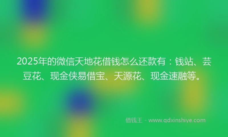 2025年的微信天地花借钱怎么还款有：钱站、芸豆花、现金侠易借宝、天源花、现金速融等。