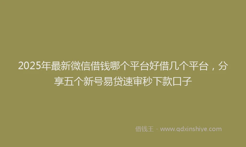 2025年最新微信借钱哪个平台好借几个平台，分享五个新号易贷速审秒下款口子