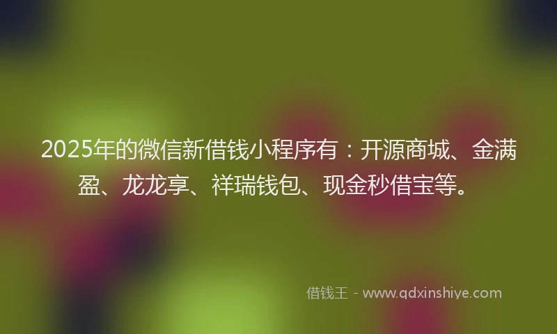 2025年的微信新借钱小程序有：开源商城、金满盈、龙龙享、祥瑞钱包、现金秒借宝等。