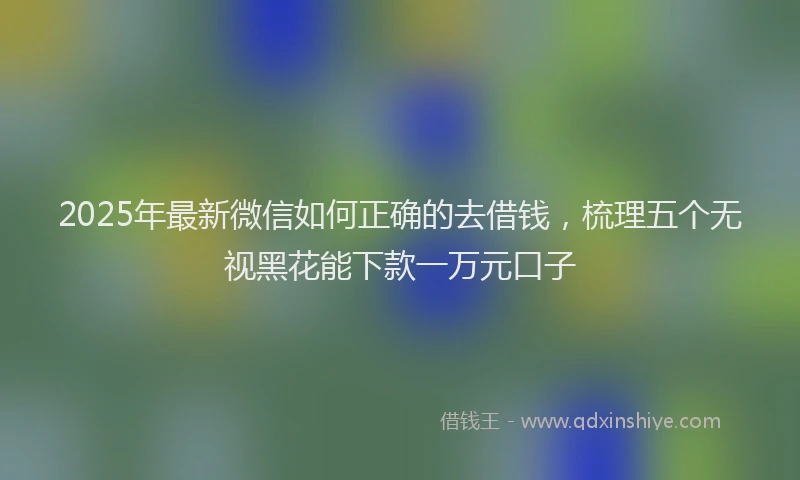 2025年最新微信如何正确的去借钱，梳理五个无视黑花能下款一万元口子