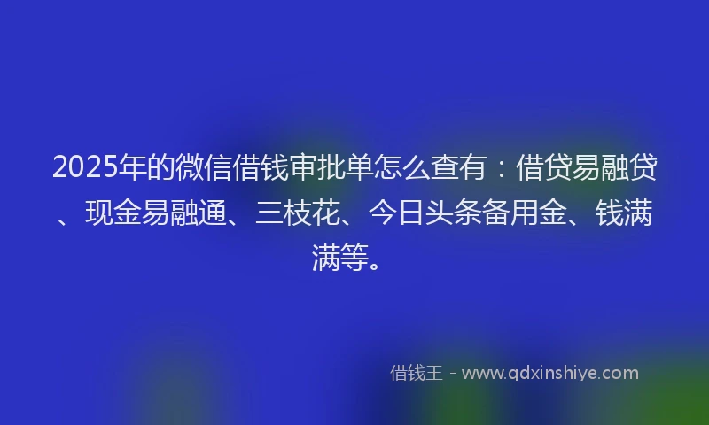 2025年的微信借钱审批单怎么查有:借贷易融贷、现金易融通、三枝花、今日头条备用金、钱满满等。