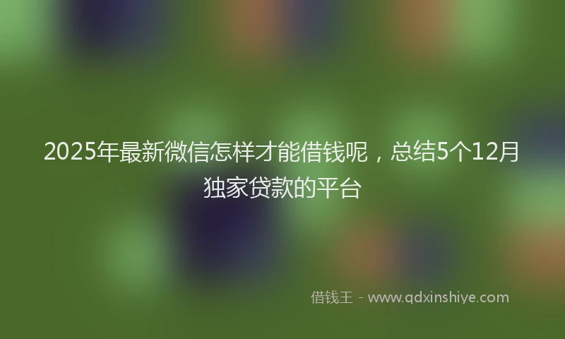 2025年最新微信怎样才能借钱呢，总结5个12月独家贷款的平台