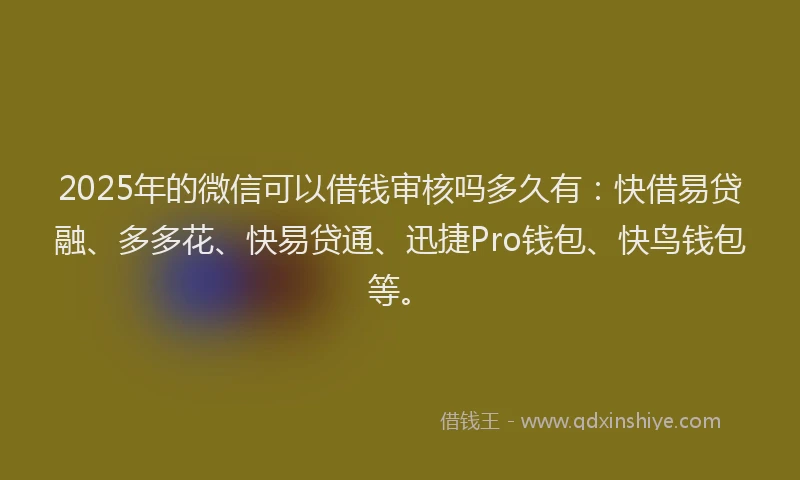 2025年的微信可以借钱审核吗多久有：快借易贷融、多多花、快易贷通、迅捷Pro钱包、快鸟钱包等。