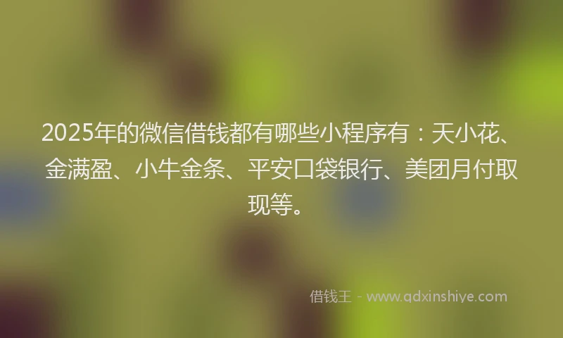 2025年的微信借钱都有哪些小程序有：天小花、金满盈、小牛金条、平安口袋银行、美团月付取现等。