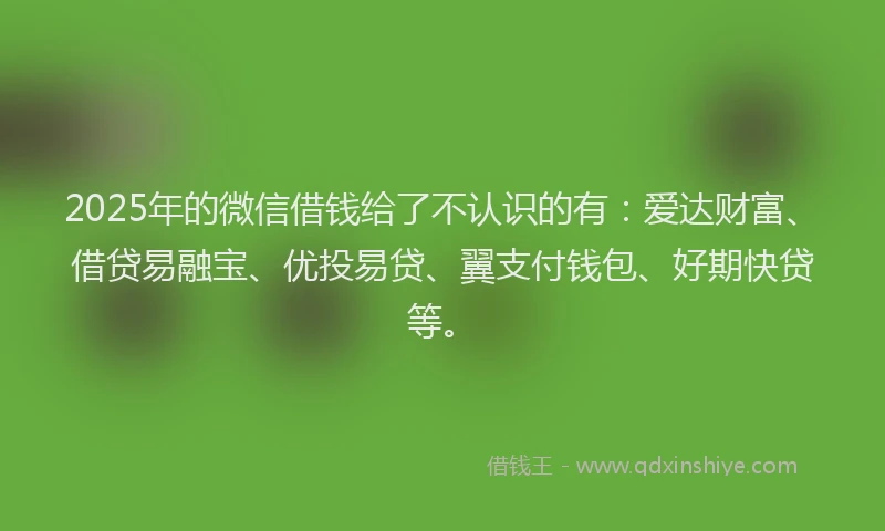2025年的微信借钱给了不认识的有：爱达财富、借贷易融宝、优投易贷、翼支付钱包、好期快贷等。