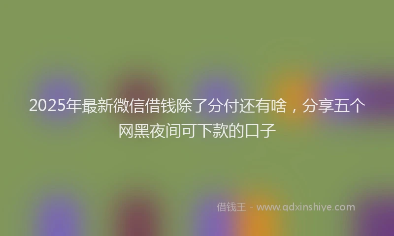 2025年最新微信借钱除了分付还有啥，分享五个网黑夜间可下款的口子
