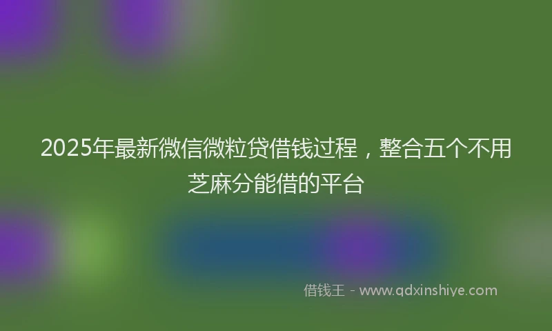 2025年最新微信微粒贷借钱过程，整合五个不用芝麻分能借的平台