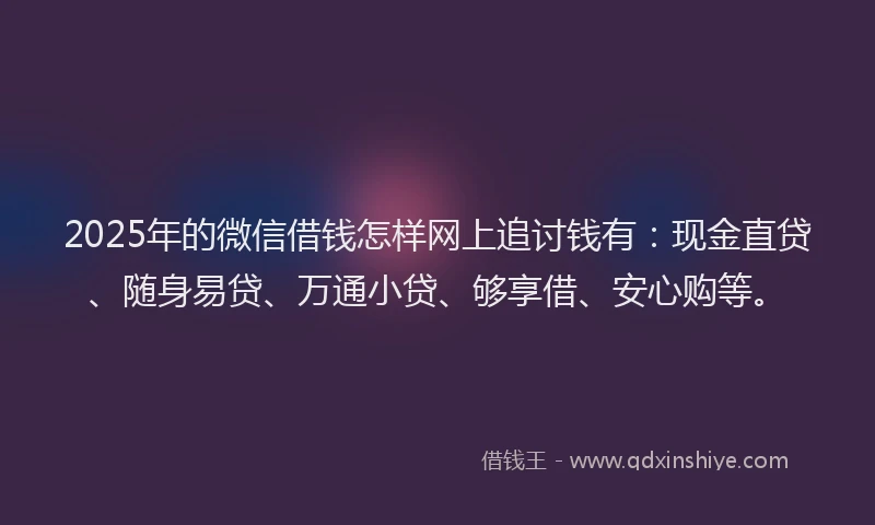2025年的微信借钱怎样网上追讨钱有：现金直贷、随身易贷、万通小贷、够享借、安心购等。