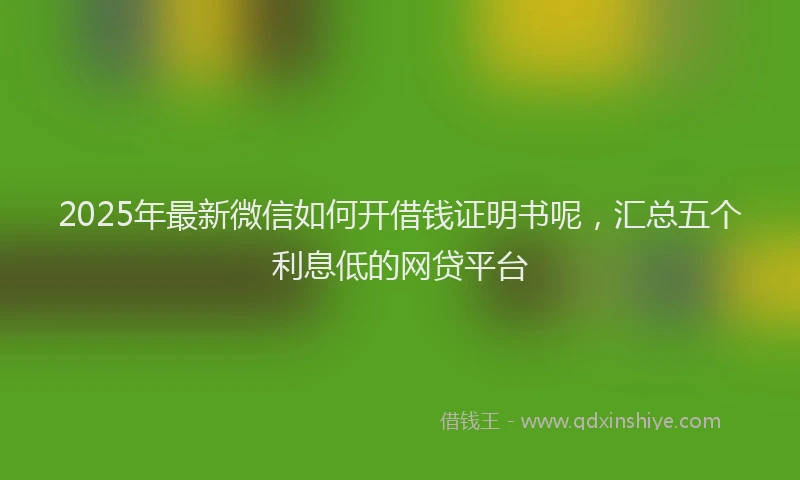2025年最新微信如何开借钱证明书呢，汇总五个利息低的网贷平台