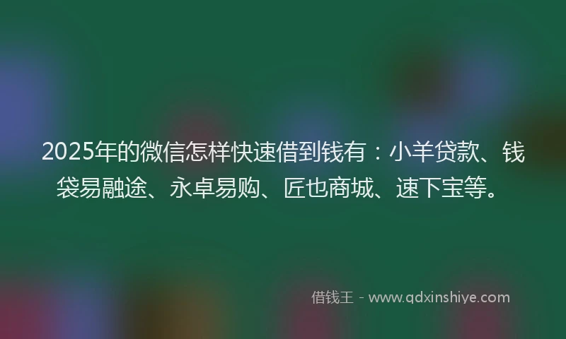 2025年的微信怎样快速借到钱有：小羊贷款、钱袋易融途、永卓易购、匠也商城、速下宝等。