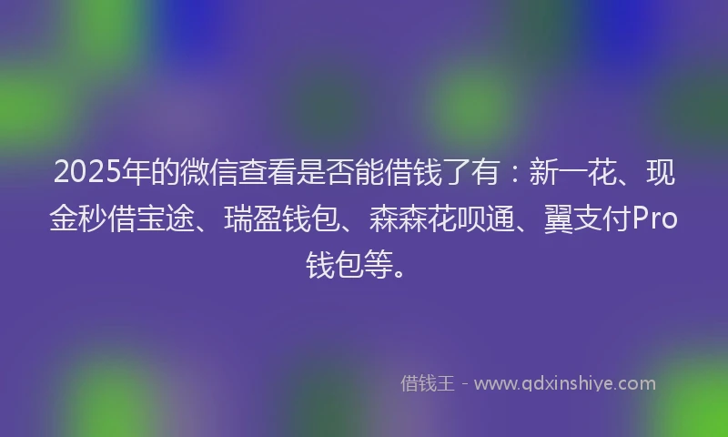 2025年的微信查看是否能借钱了有：新一花、现金秒借宝途、瑞盈钱包、森森花呗通、翼支付Pro钱包等。