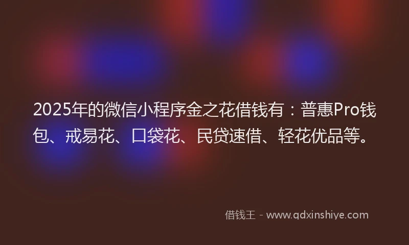 2025年的微信小程序金之花借钱有：普惠Pro钱包、戒易花、口袋花、民贷速借、轻花优品等。