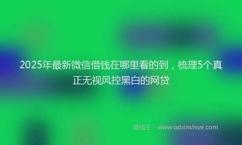 2025年最新微信借钱在哪里看的到，梳理5个真正无视风控黑白的网贷