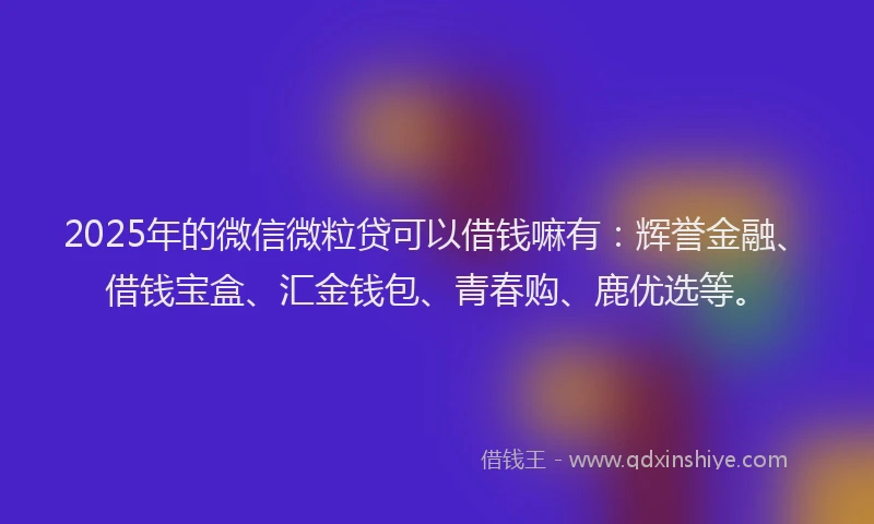 2025年的微信微粒贷可以借钱嘛有：辉誉金融、借钱宝盒、汇金钱包、青春购、鹿优选等。