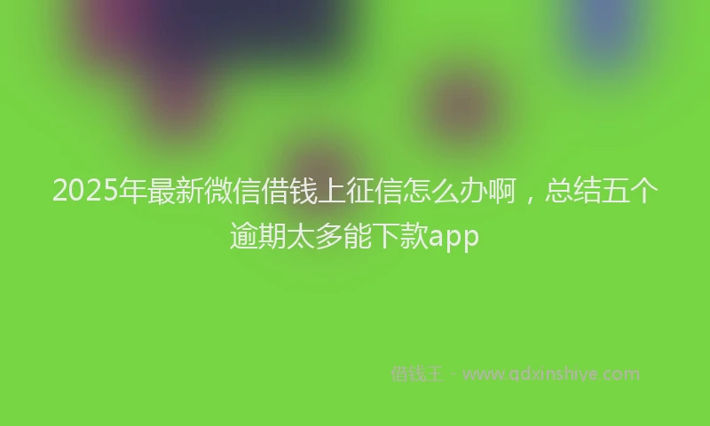 2025年最新微信借钱上征信怎么办啊，总结五个逾期太多能下款app