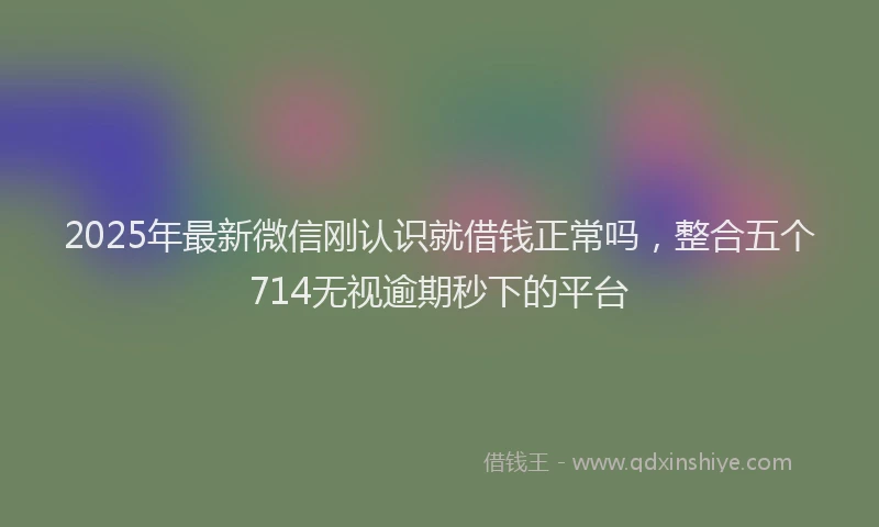 2025年最新微信刚认识就借钱正常吗，整合五个714无视逾期秒下的平台