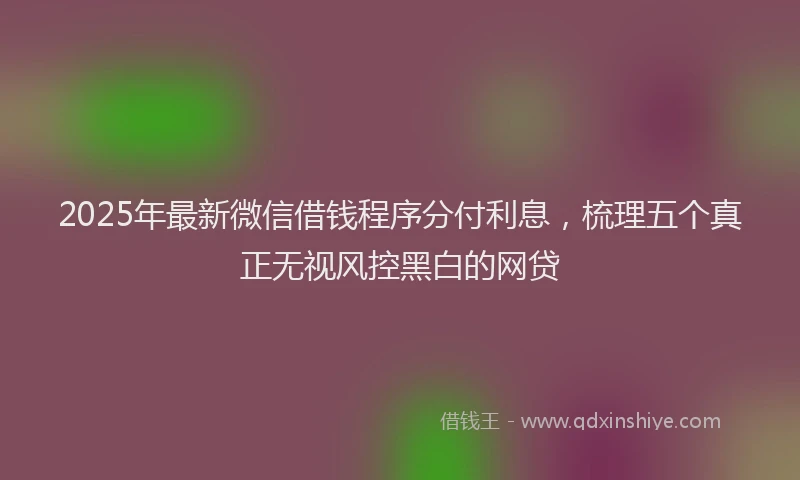 2025年最新微信借钱程序分付利息，梳理五个真正无视风控黑白的网贷