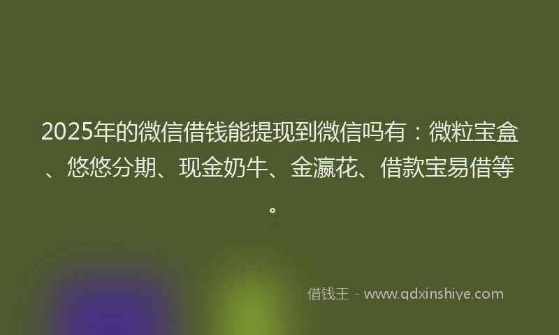 2025年的微信借钱能提现到微信吗有：微粒宝盒、悠悠分期、现金奶牛、金瀛花、借款宝易借等。