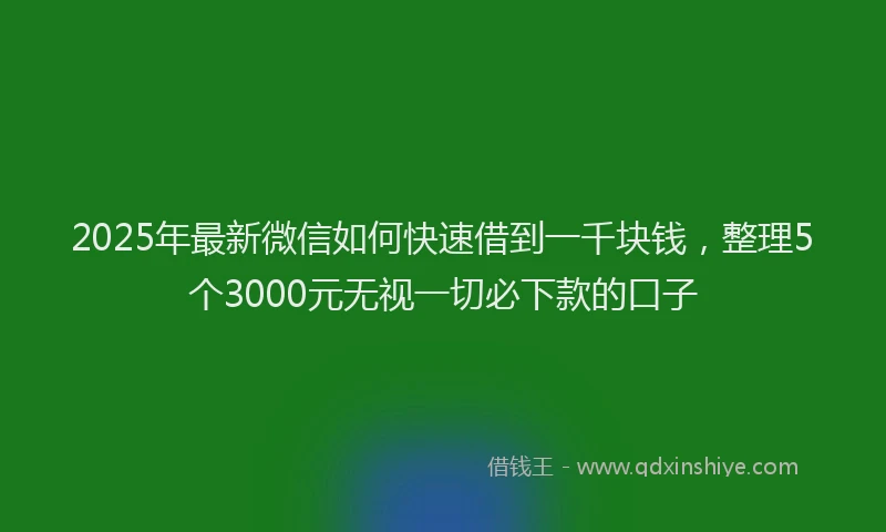 2025年最新微信如何快速借到一千块钱，整理5个3000元无视一切必下款的口子