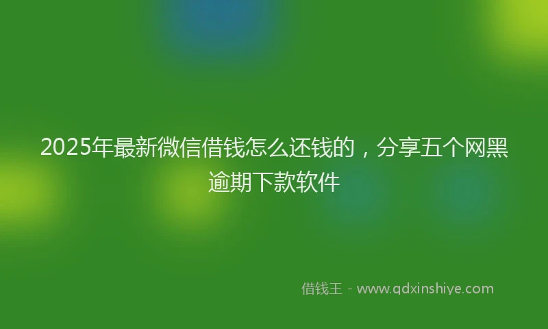 2025年最新微信借钱怎么还钱的，分享五个网黑逾期下款软件