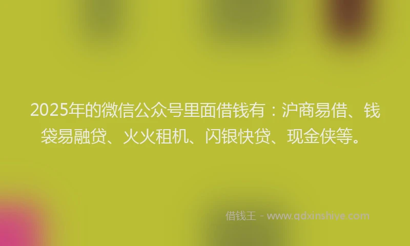 2025年的微信公众号里面借钱有：沪商易借、钱袋易融贷、火火租机、闪银快贷、现金侠等。