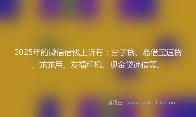2025年的微信借钱上诉有：分子贷、易借宝速贷、龙龙用、友福租机、现金贷速借等。