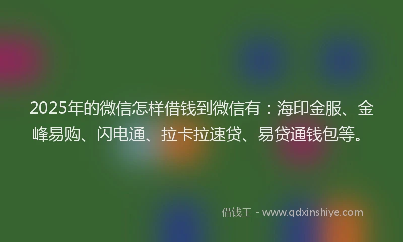2025年的微信怎样借钱到微信有：海印金服、金峰易购、闪电通、拉卡拉速贷、易贷通钱包等。