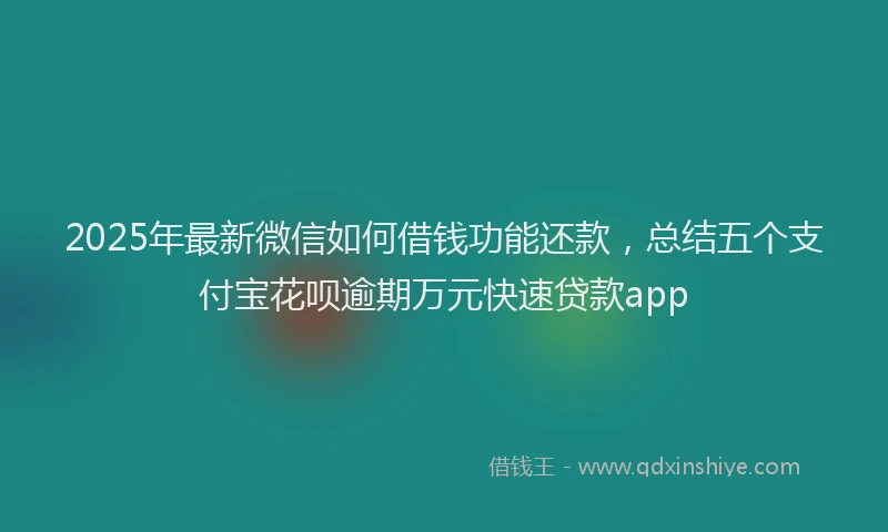 2025年最新微信如何借钱功能还款，总结五个支付宝花呗逾期万元快速贷款app