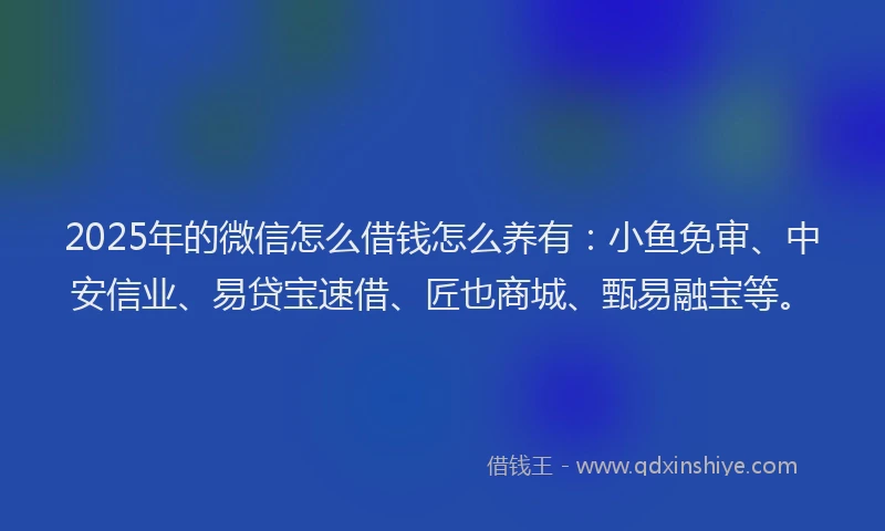 2025年的微信怎么借钱怎么养有：小鱼免审、中安信业、易贷宝速借、匠也商城、甄易融宝等。