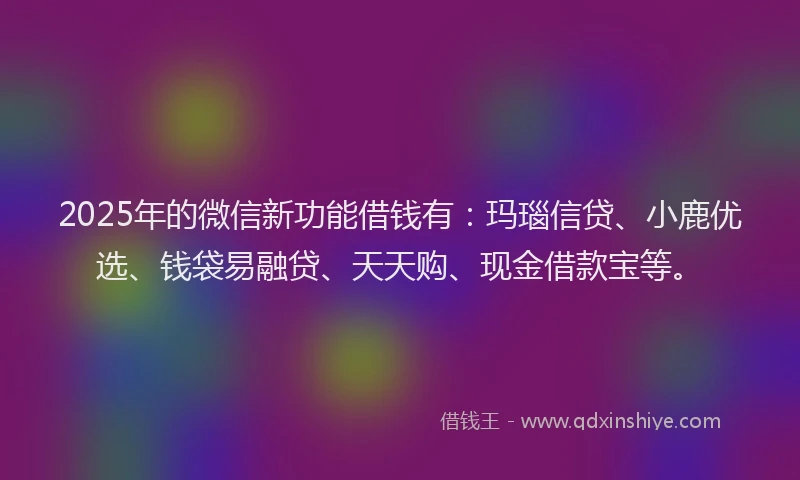 2025年的微信新功能借钱有：玛瑙信贷、小鹿优选、钱袋易融贷、天天购、现金借款宝等。