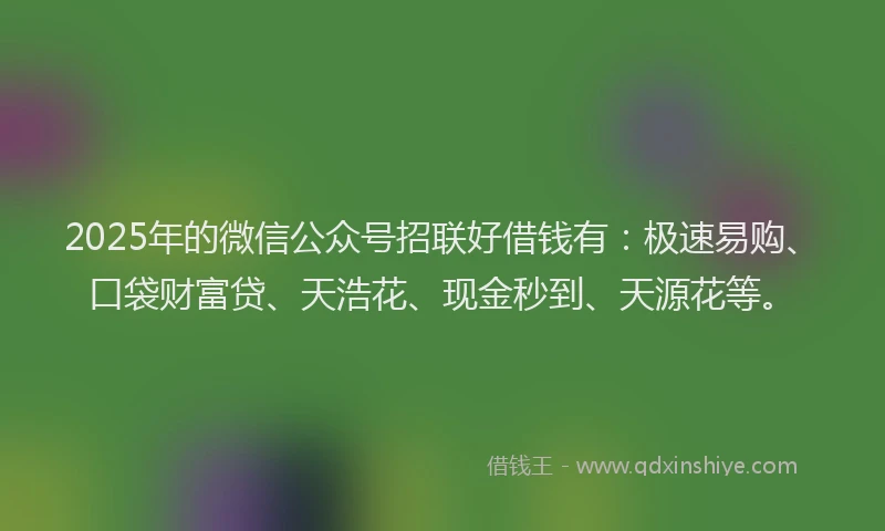 2025年的微信公众号招联好借钱有：极速易购、口袋财富贷、天浩花、现金秒到、天源花等。