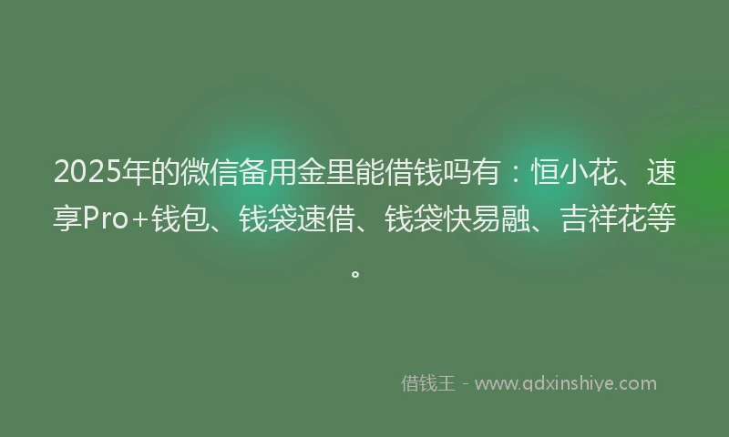 2025年的微信备用金里能借钱吗有：恒小花、速享Pro+钱包、钱袋速借、钱袋快易融、吉祥花等。