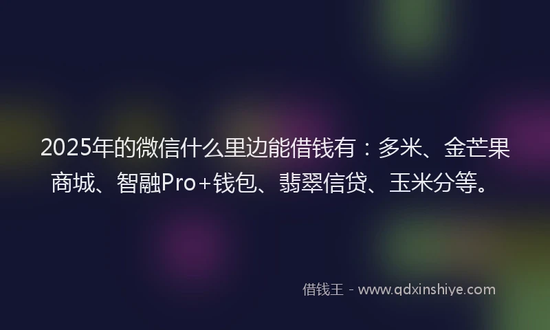 2025年的微信什么里边能借钱有：多米、金芒果商城、智融Pro+钱包、翡翠信贷、玉米分等。