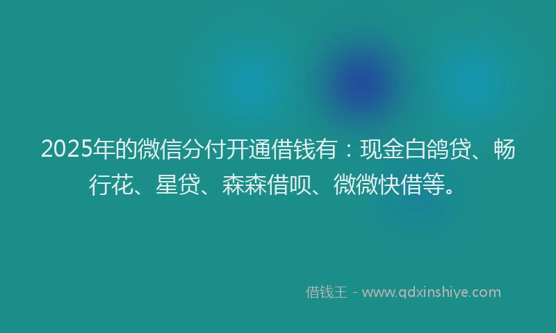 2025年的微信分付开通借钱有：现金白鸽贷、畅行花、星贷、森森借呗、微微快借等。
