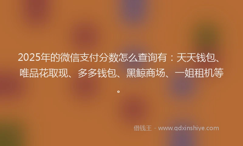 2025年的微信支付分数怎么查询有：天天钱包、唯品花取现、多多钱包、黑鲸商场、一姐租机等。