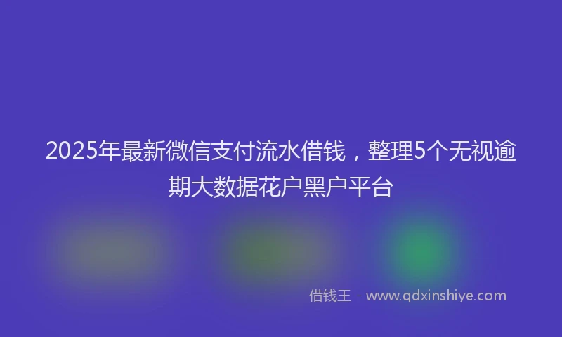 2025年最新微信支付流水借钱，整理5个无视逾期大数据花户黑户平台