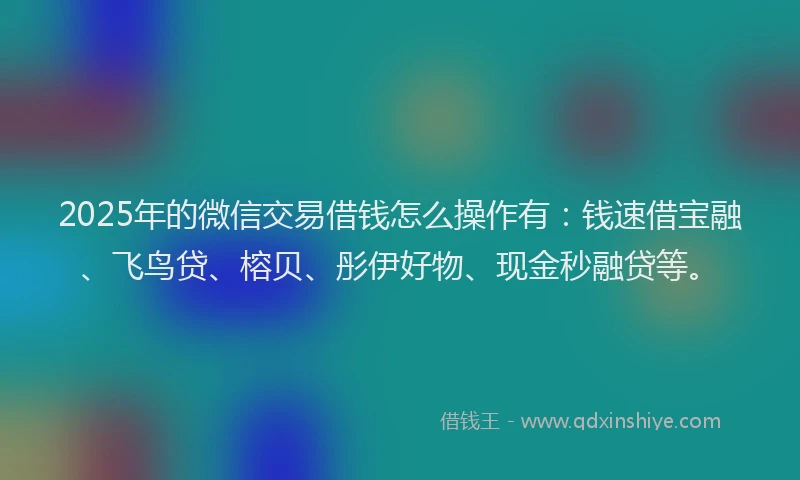 2025年的微信交易借钱怎么操作有：钱速借宝融、飞鸟贷、榕贝、彤伊好物、现金秒融贷等。