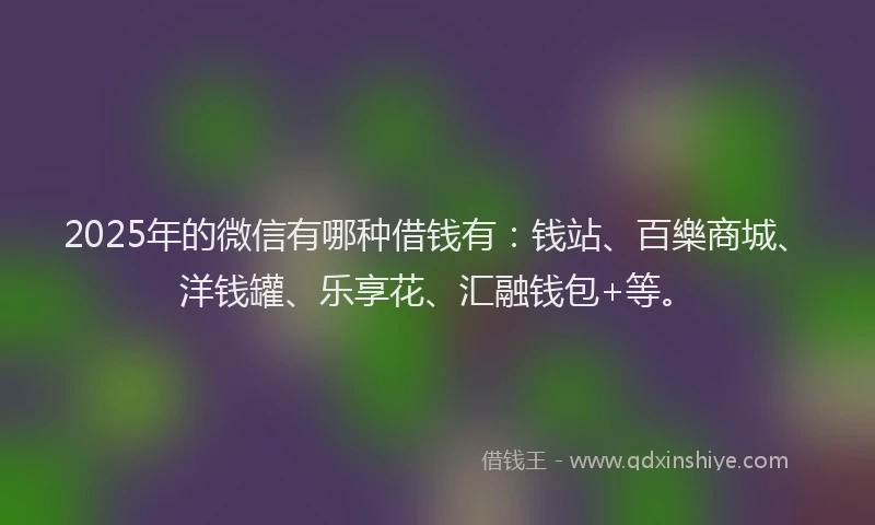 2025年的微信有哪种借钱有：钱站、百樂商城、洋钱罐、乐享花、汇融钱包+等。