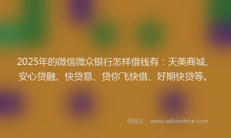 2025年的微信微众银行怎样借钱有：天美商城、安心贷融、快贷易、贷你飞快借、好期快贷等。