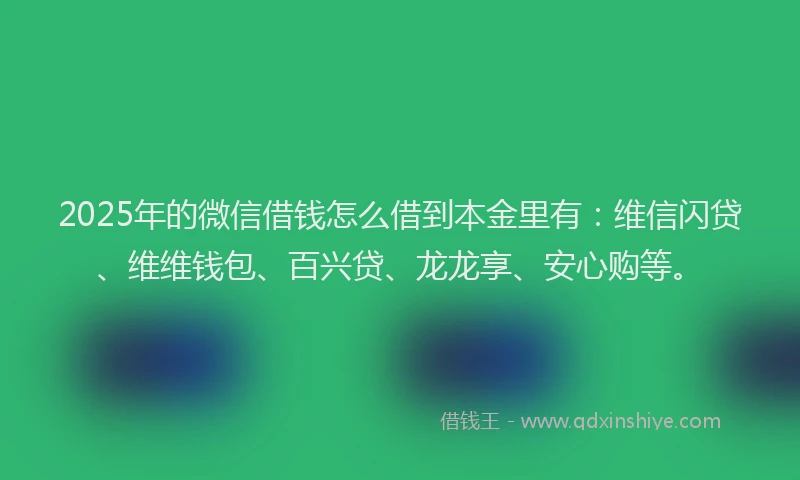 2025年的微信借钱怎么借到本金里有：维信闪贷、维维钱包、百兴贷、龙龙享、安心购等。