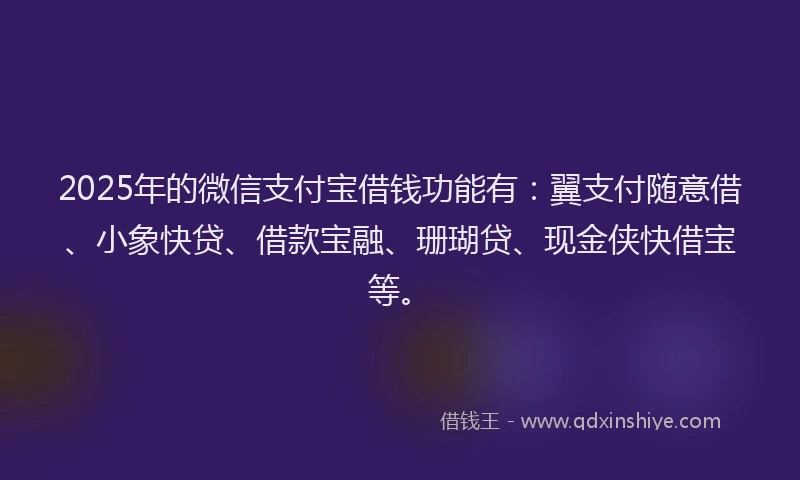2025年的微信支付宝借钱功能有：翼支付随意借、小象快贷、借款宝融、珊瑚贷、现金侠快借宝等。
