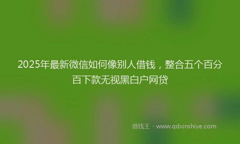 2025年最新微信如何像别人借钱，整合五个百分百下款无视黑白户网贷