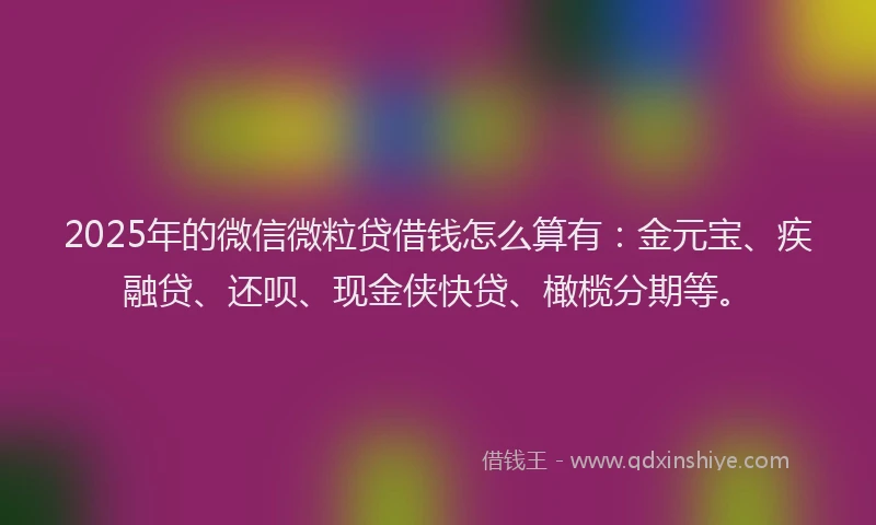 2025年的微信微粒贷借钱怎么算有：金元宝、疾融贷、还呗、现金侠快贷、橄榄分期等。