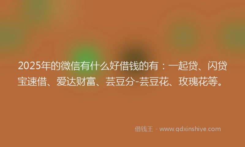 2025年的微信有什么好借钱的有：一起贷、闪贷宝速借、爱达财富、芸豆分-芸豆花、玫瑰花等。