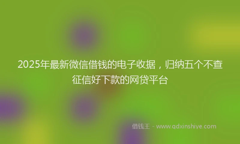 2025年最新微信借钱的电子收据，归纳五个不查征信好下款的网贷平台