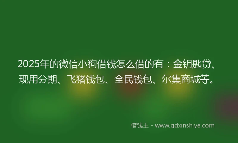 2025年的微信小狗借钱怎么借的有：金钥匙贷、现用分期、飞猪钱包、全民钱包、尔集商城等。