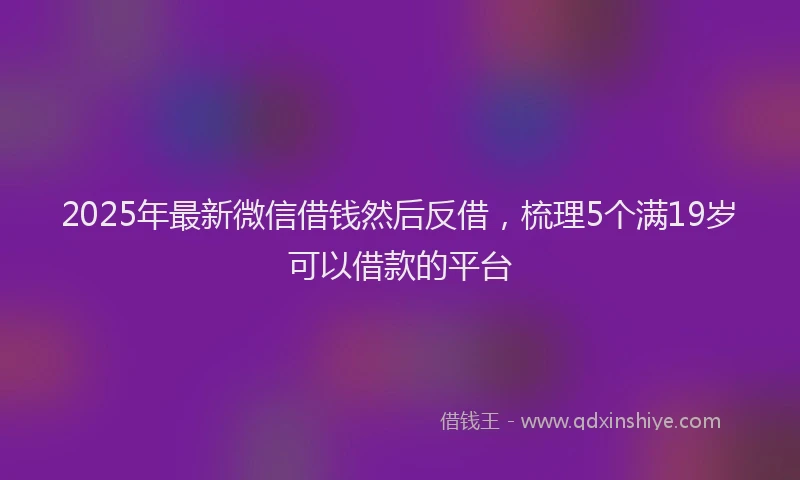 2025年最新微信借钱然后反借，梳理5个满19岁可以借款的平台