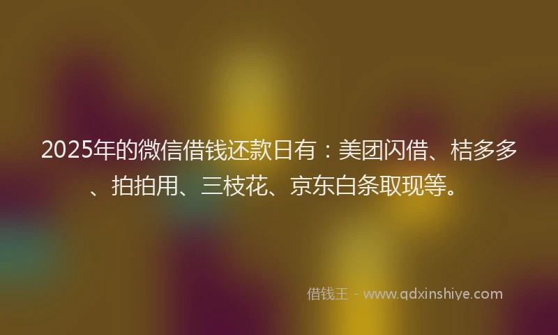 2025年的微信借钱还款日有：美团闪借、桔多多、拍拍用、三枝花、京东白条取现等。